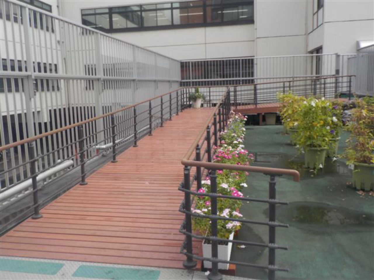 葛飾区役所中庭　屋上緑化展示場